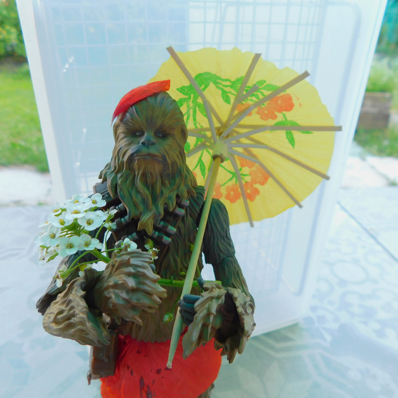 Дачно-Харлинский июнь-июль 2024 428