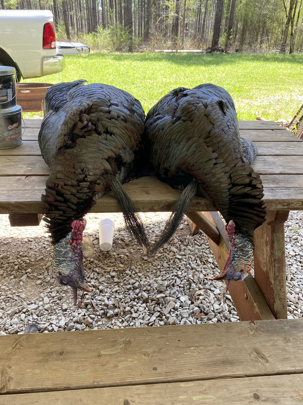 34EDC85E-DBFE-4027-BB2C-5C4AECB99AC6