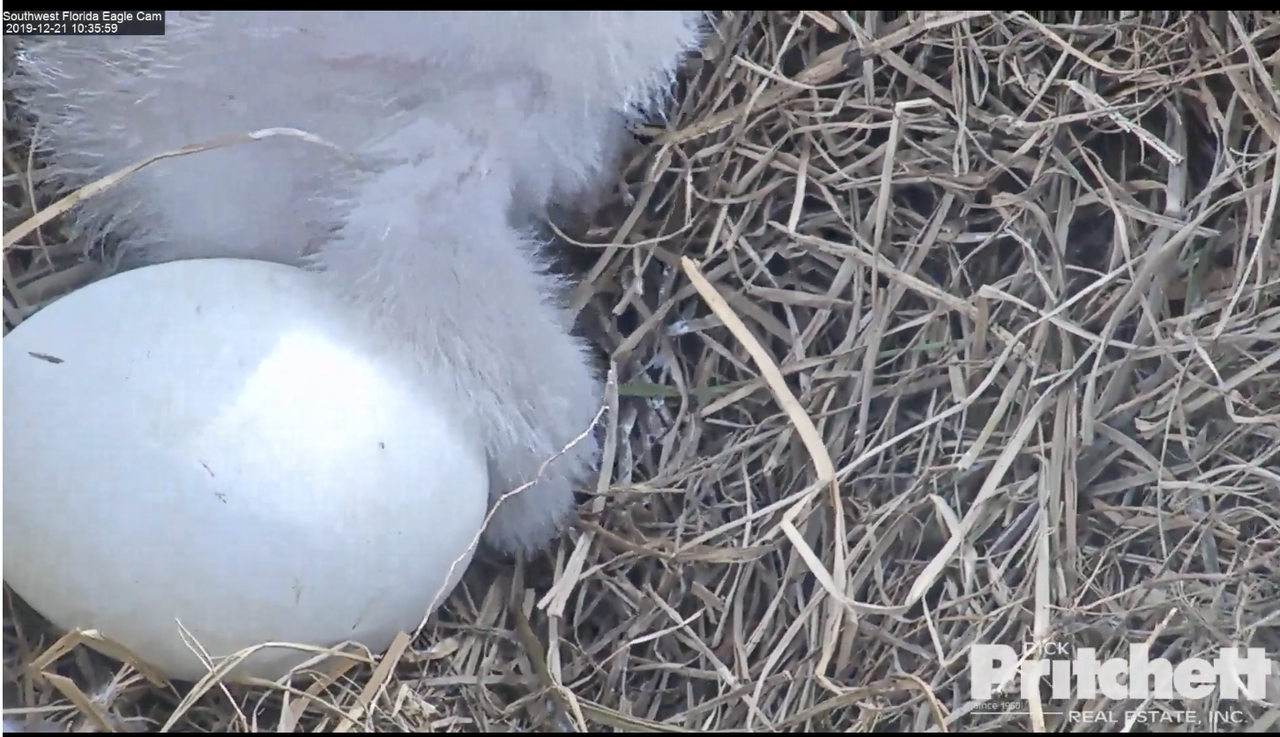 Zuid-West Florida 20191221-03 om 16.41.35