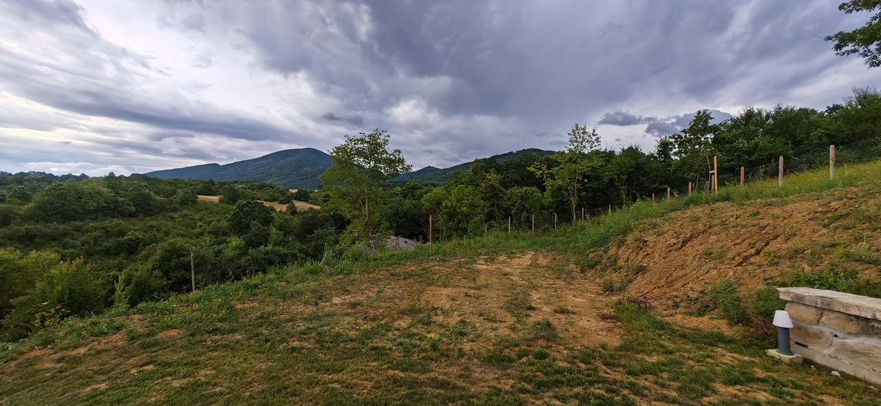 IMG_20230727_083806