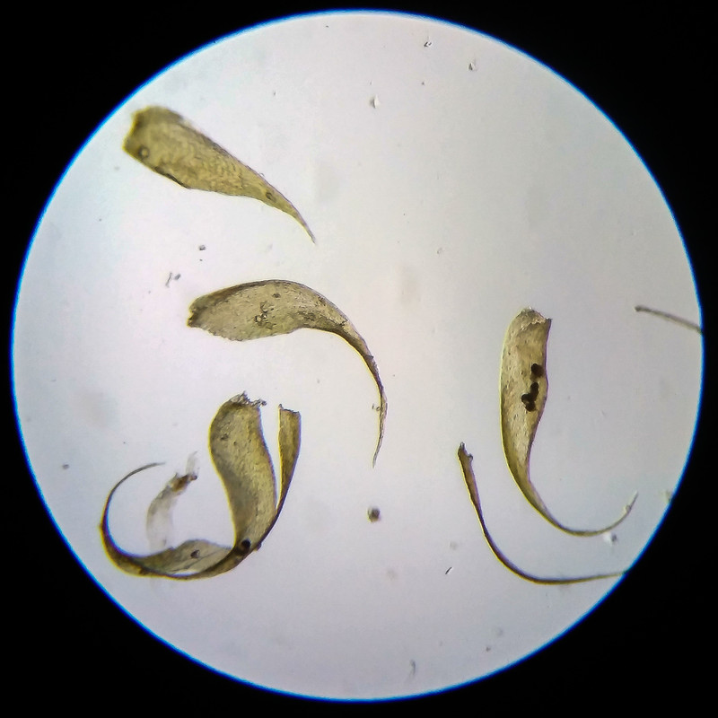 IMG 20250614 205137 HDR