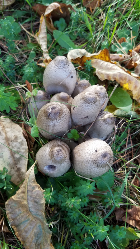 20181010_155544