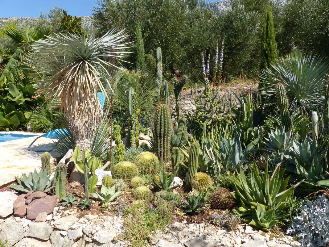 P1240210