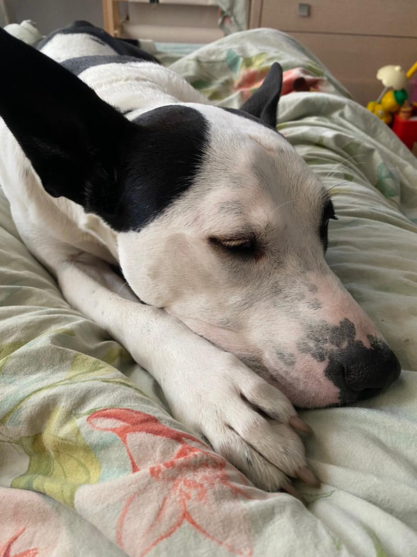 06F900C0-7890-44A4-BA82-4C2290751358