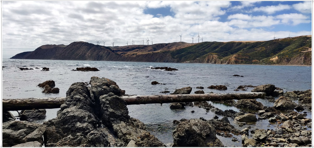 Wellington más allá del Te Papa y el Cable Car - Escapadas y rutas por la Nueva Zelanda menos conocida (30)