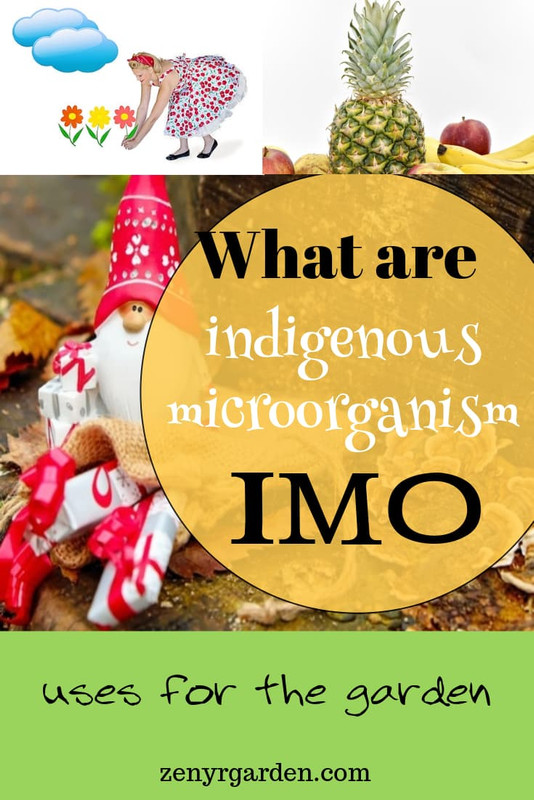what-are-indigenous-microorganism-imo-pin.jpg