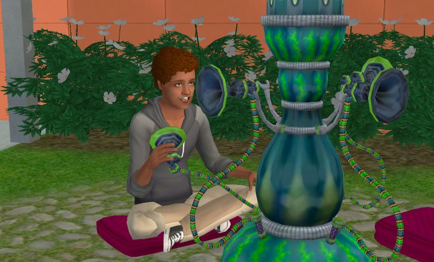 Sims2-EP9-2021-01-22-22-00-42-49