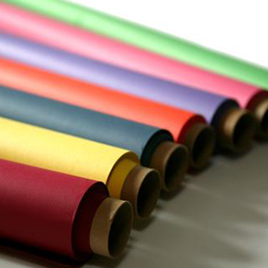 Card Tube Support