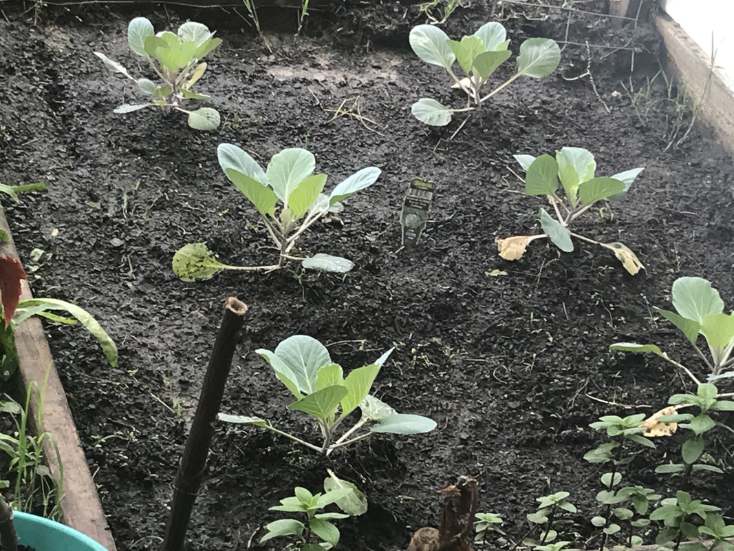 D3EF137D-2EB3-4423-BF18-60B001B8240E