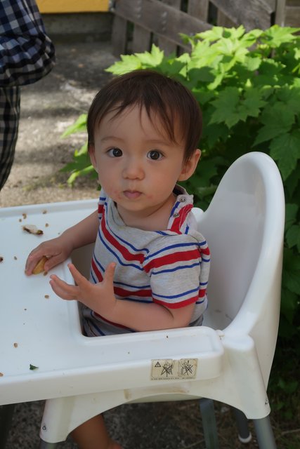 [Image: IMG-4798.jpg]