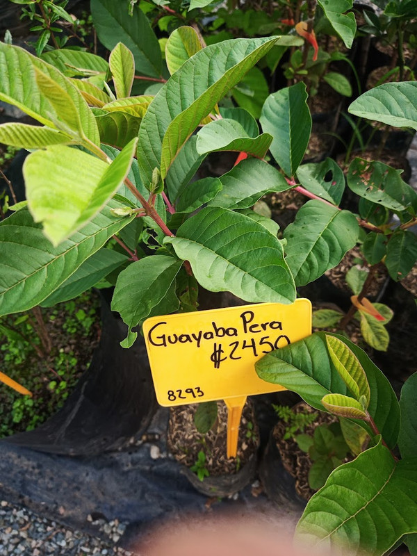 IMG_20221124_161703_086 (1)