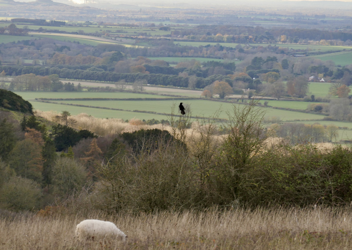 A9433DEE-F592-49E2-AF00-916FED698520