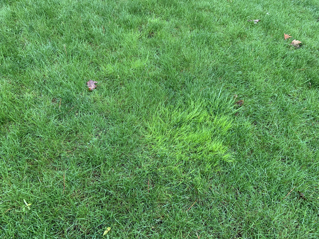 BD0BA189-9ED5-48EE-8CEE-2BD894BDD698