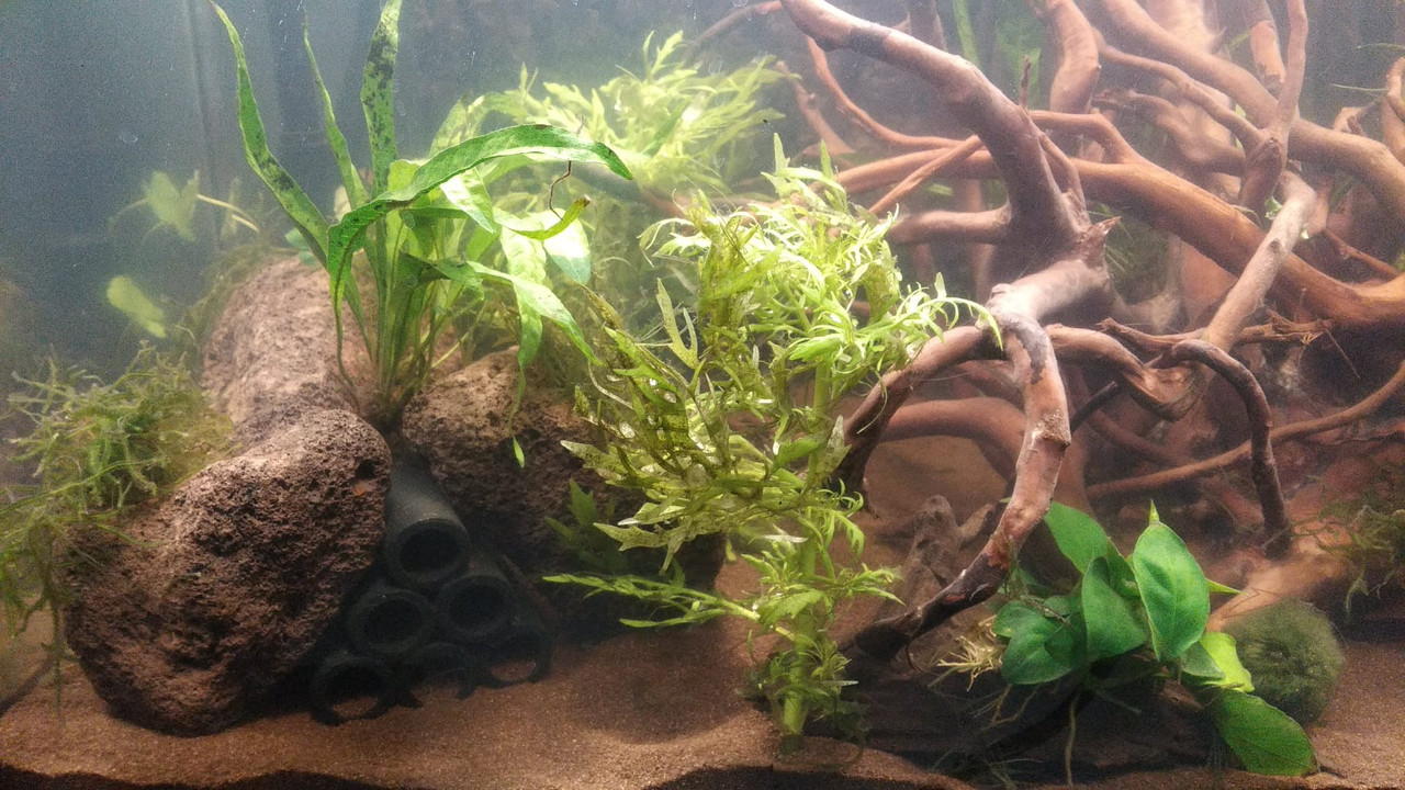 WhatsApp Image 2023-02-22 at 18.18.37