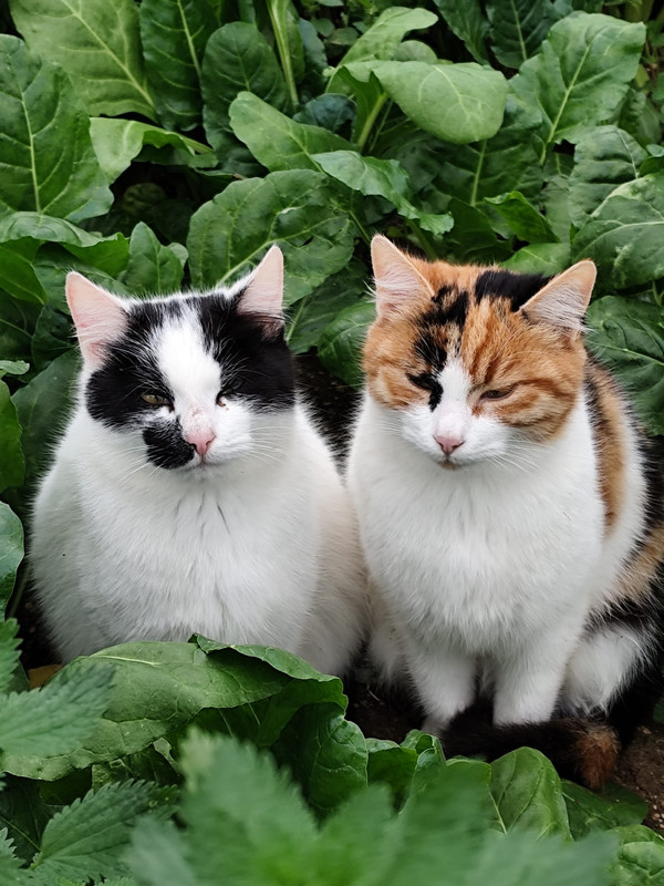 Whats App Image 2026 02 21 at 23 08 19