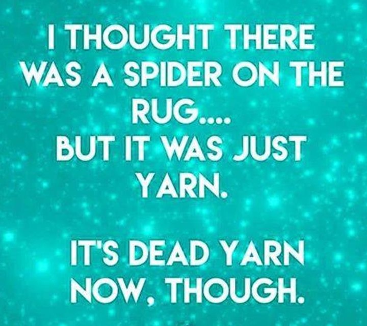 funny-spider.jpg