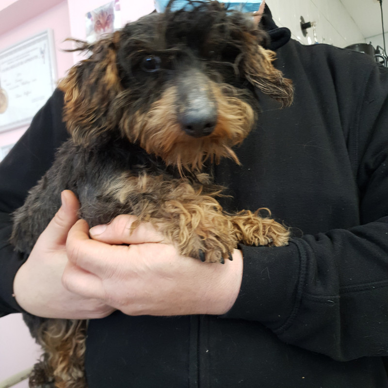 [Image: 20210108-145538.jpg]