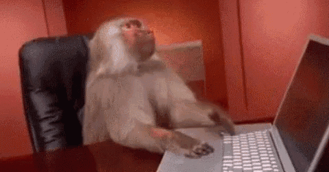 accfeeaeb48edbd714da8499c908f9c9adc21c441569a944697379337cbdc59b.gif