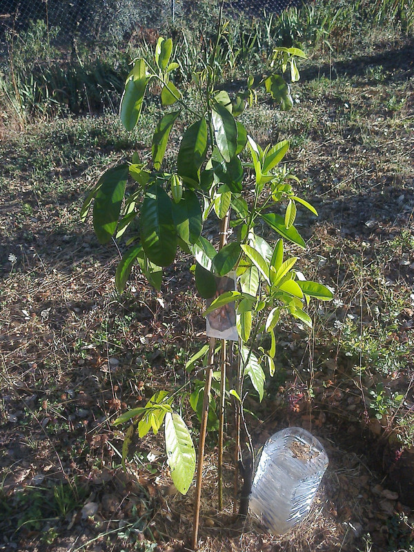 foto0117