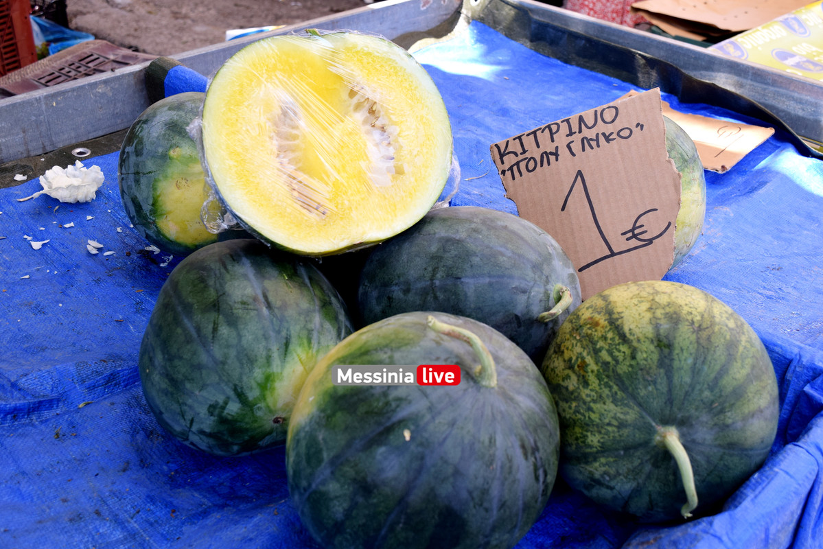 ΑΓΟΡΑ ΚΑΡΠΟΥΖΙDSC_0223