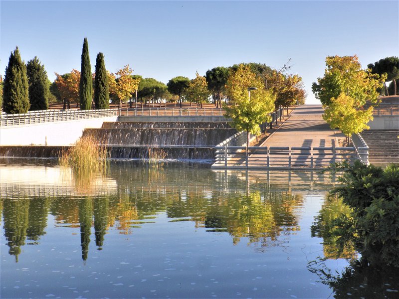 PARQUE JUAN CARLOS I-14-10-2011-MADRID - Paseando por España-1991/2016 (11)
