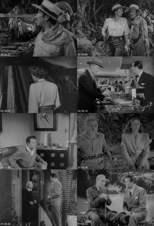 [Image: Angel-On-The-Amazon-1948-1080p-Blu-Ray-LAMA.jpg]