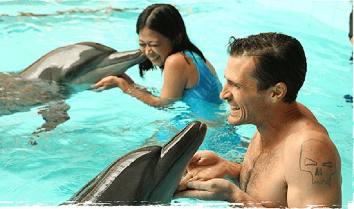 Swimming with Dolphin, special experience di Taman Safari Bogor.