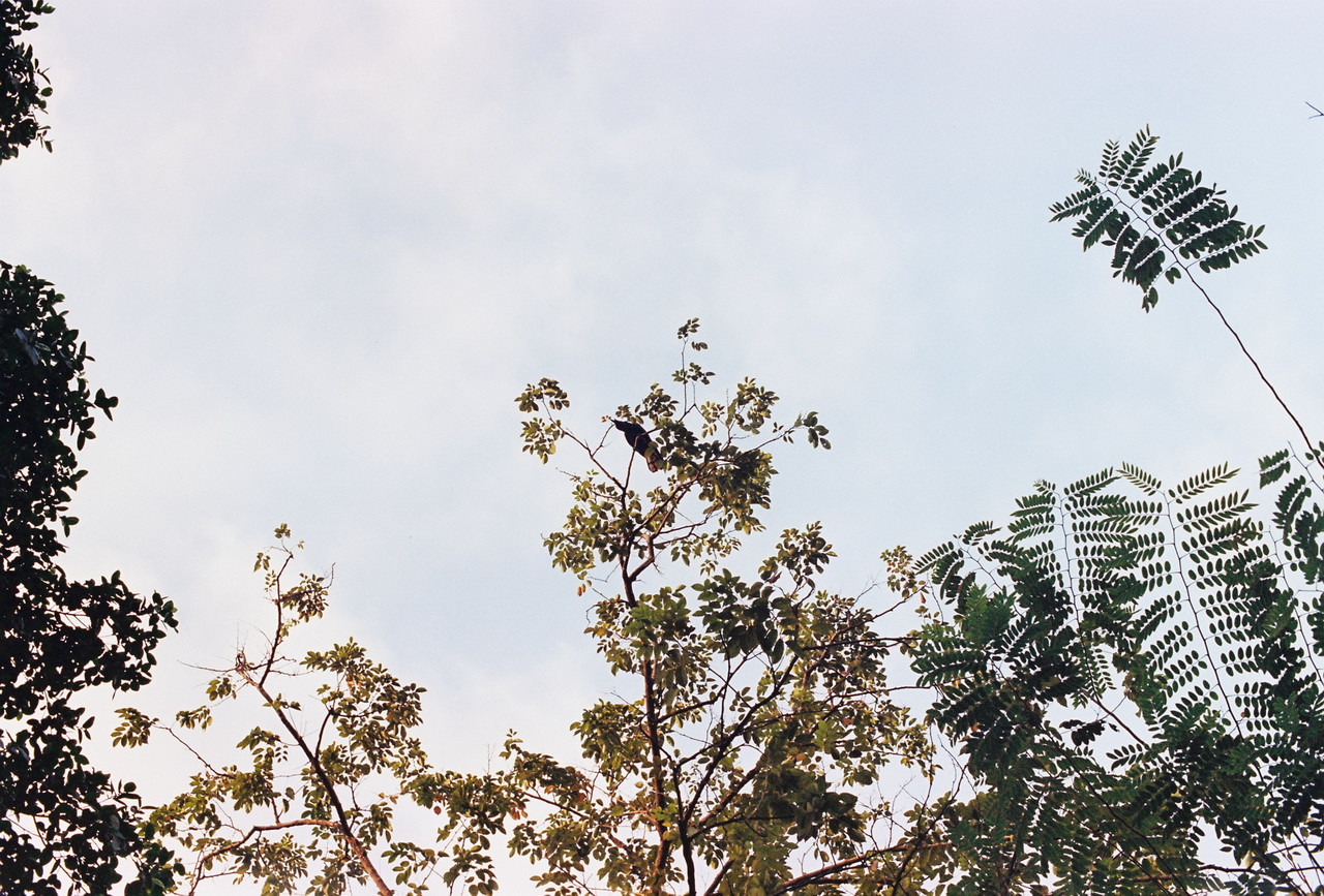 Vision3-250D-Spot-43