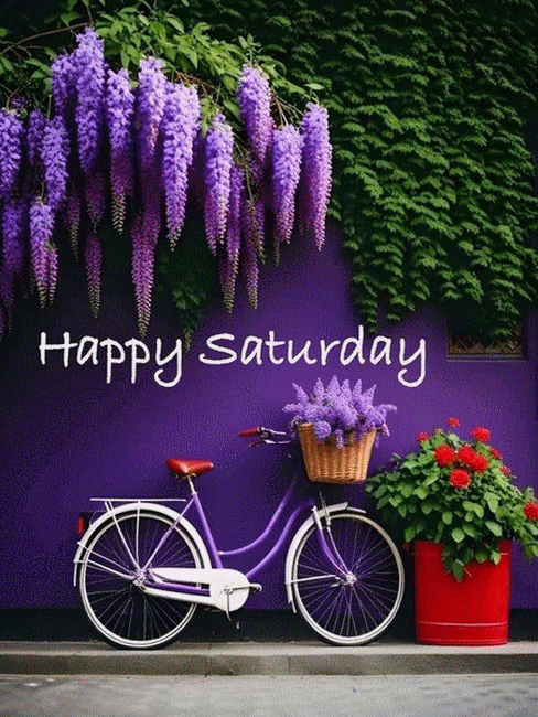 SATURDAY-samedi-26