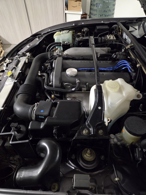 [Immagine: image.png]