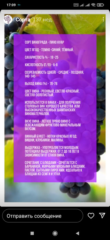 Screenshot_2023-03-24-17-09-42-756_com.instagram.android