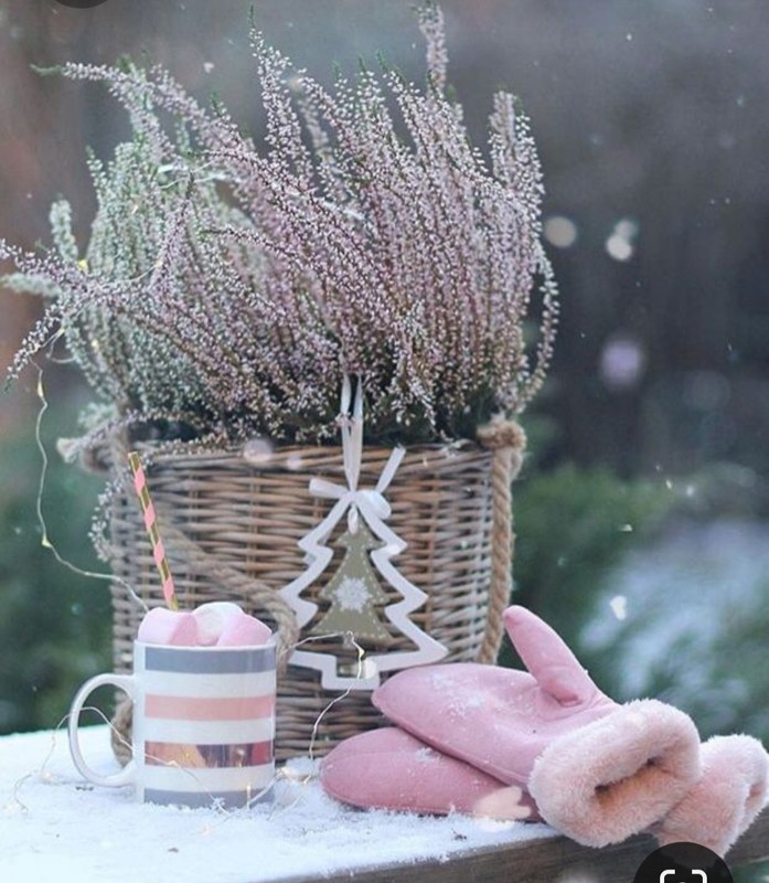 Screenshot_20230403_230954_Pinterest