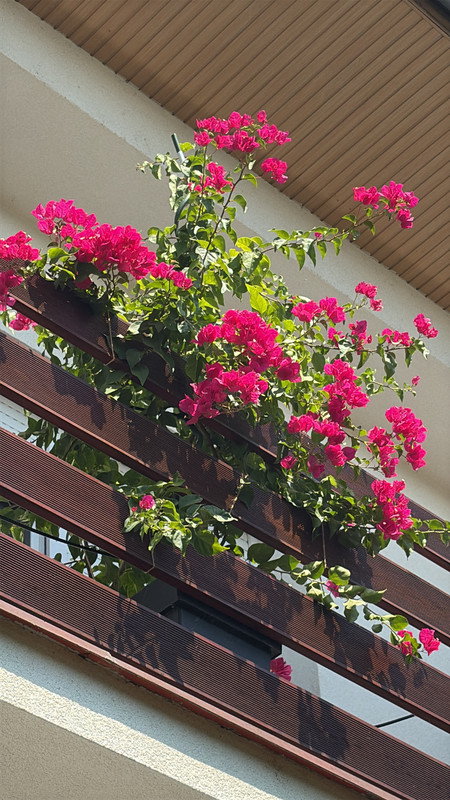 D5AAA761-06CC-457D-80A7-C358619E451C