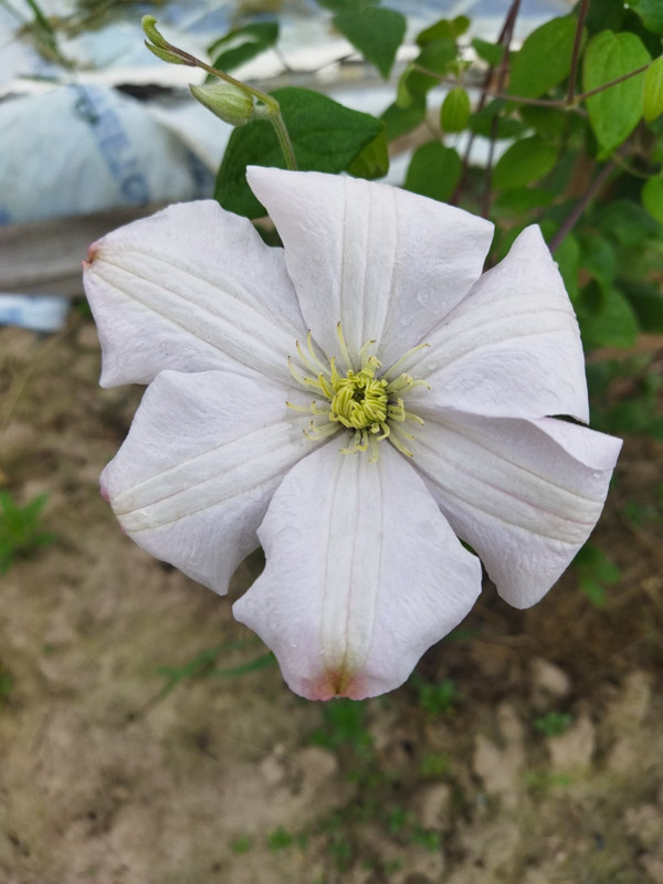 изображение_viber_2024-05-29_20-33-264