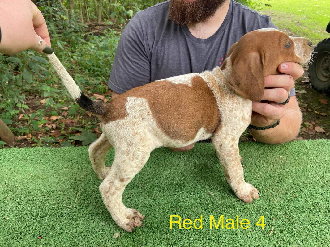 562C54FA-0DF6-4516-9C22-3A21C1403619