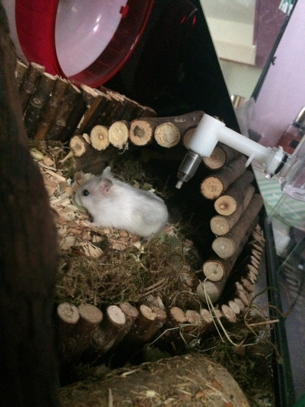 5043B95F-DF1F-43AE-82F2-B0FBF6D4C5F6