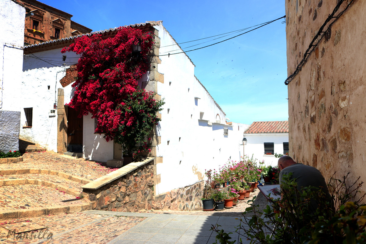 IMG-9065-2