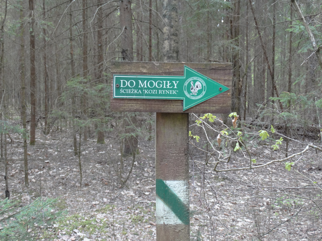 12.05 - DSC09569 (Czesio1)