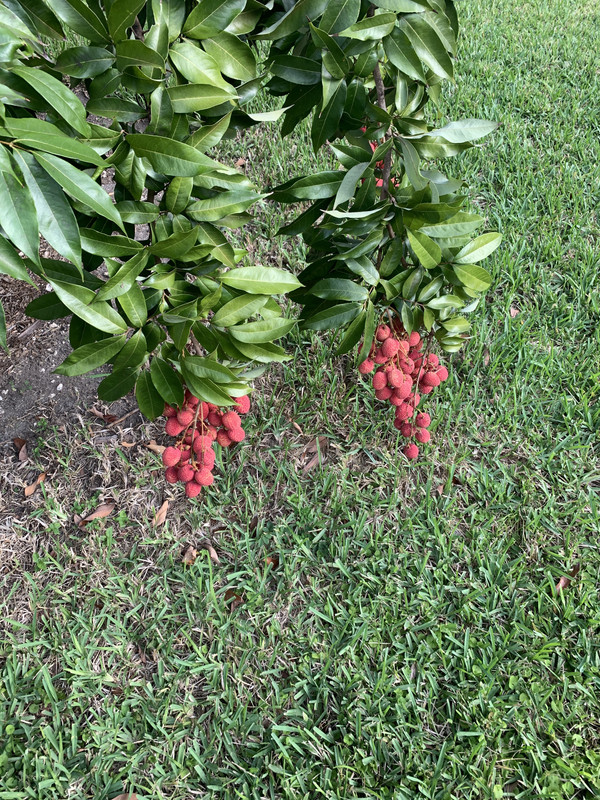 3CCCAAB3-31F0-4490-BD10-6684E0132589