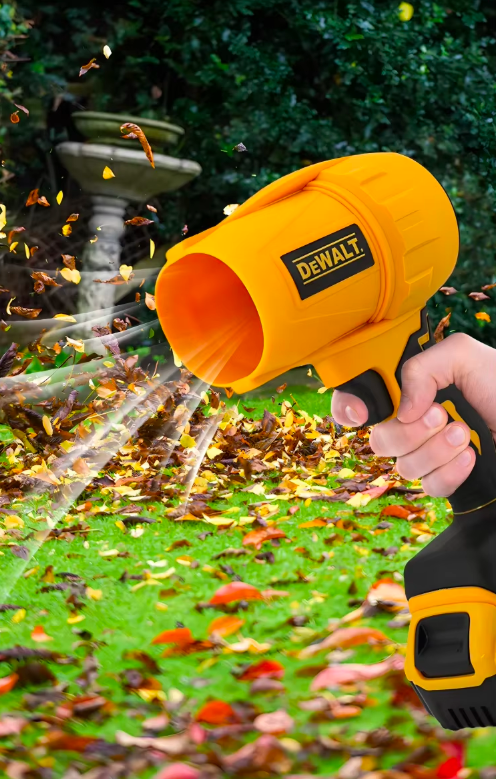 lqtt-alshasht-2025-11-01-fy-20-22-54