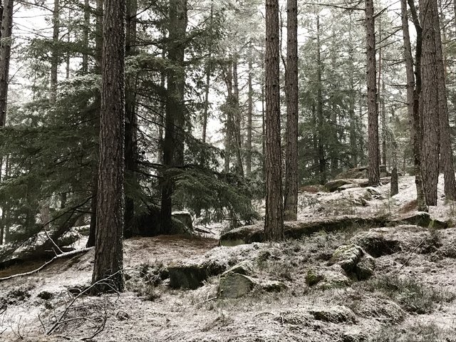 [Image: FF321-BCE-99-C5-46-E6-9-D23-8870-EDA2-AEFF.jpg]