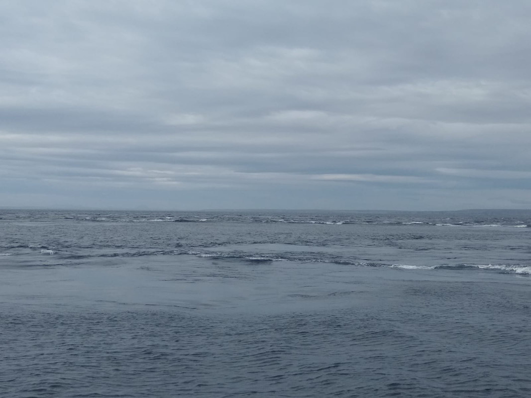 IMG-20180725-WA0023(1)