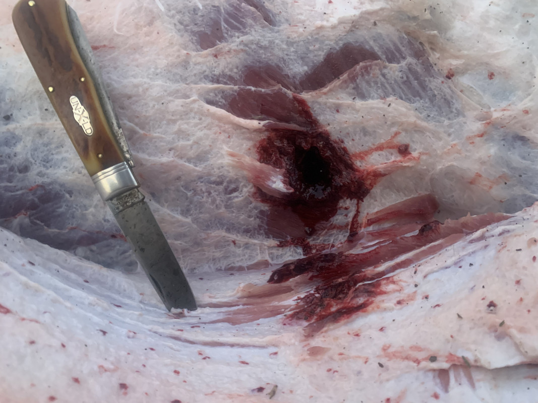 D4531260-373C-4135-BF16-3324EC8FEC75