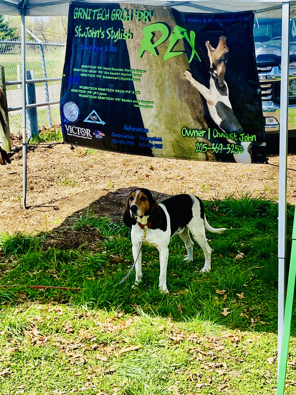 FB1C64E5-2960-4181-91B5-1F906A5124BD