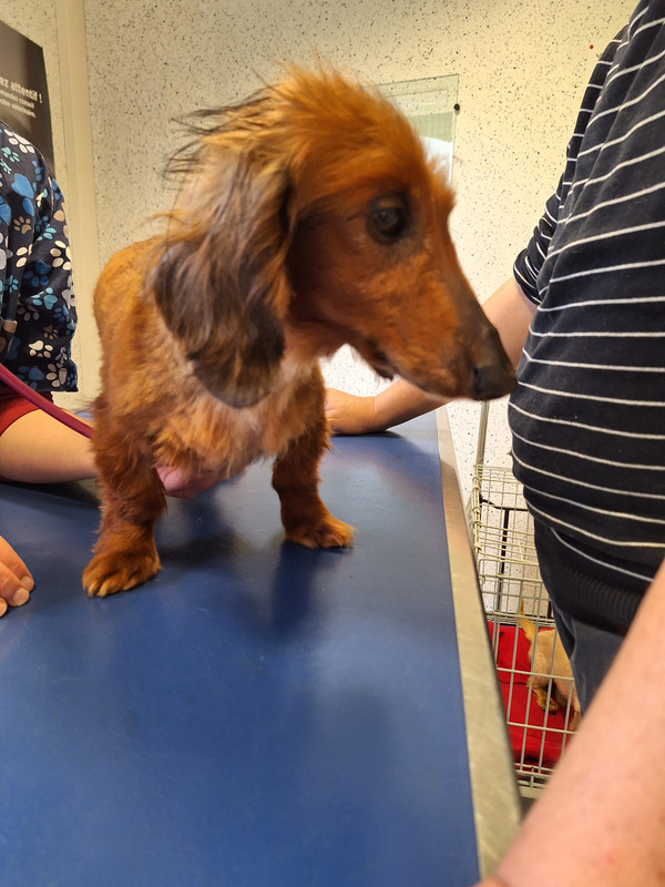 [Image: 20240419-172846.jpg]