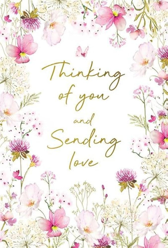 51PDw-Ik-D-WL-AC-UF894-1000-QL80