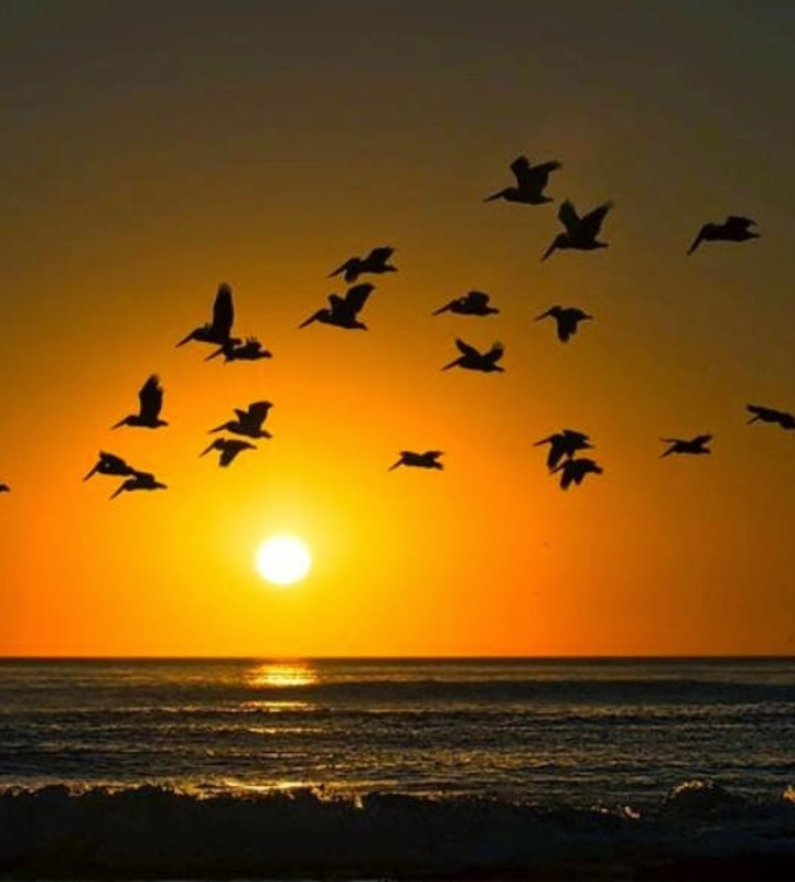 IMG_٢٠٢١٠٦١١_٢٠٤٩٣٧