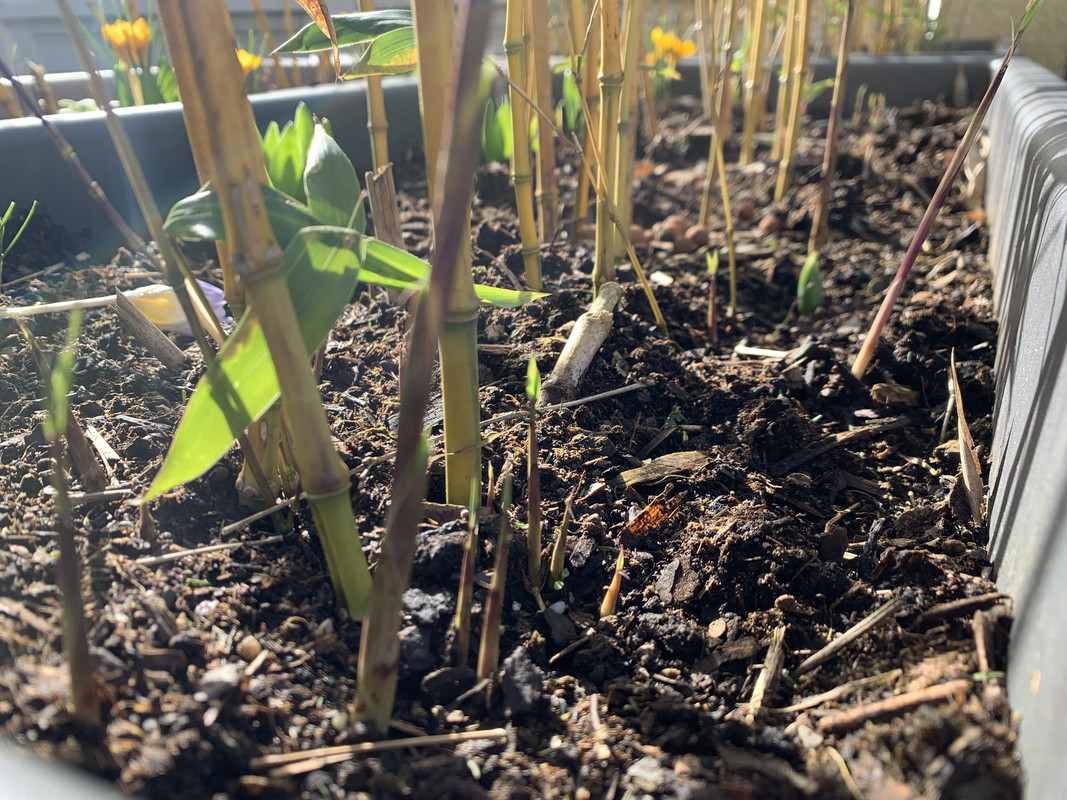 A8882C9C-2E6F-4125-9C09-83A98B7E40F0