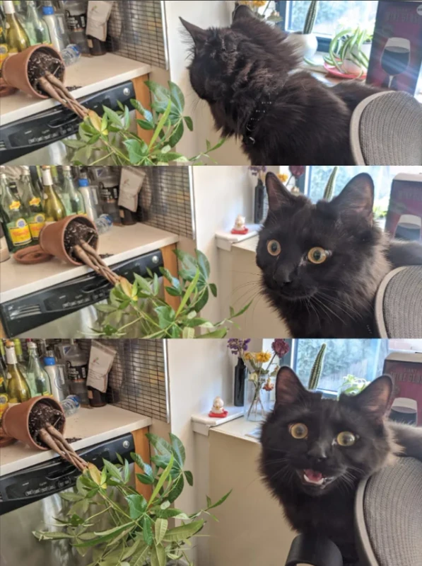 and id do it again human