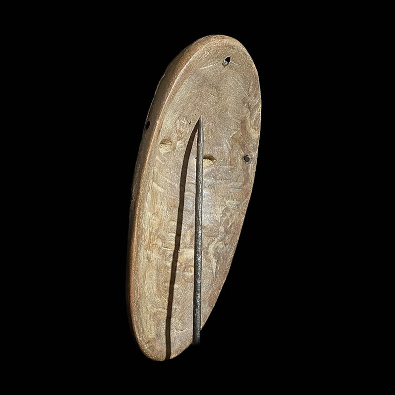 large image 11